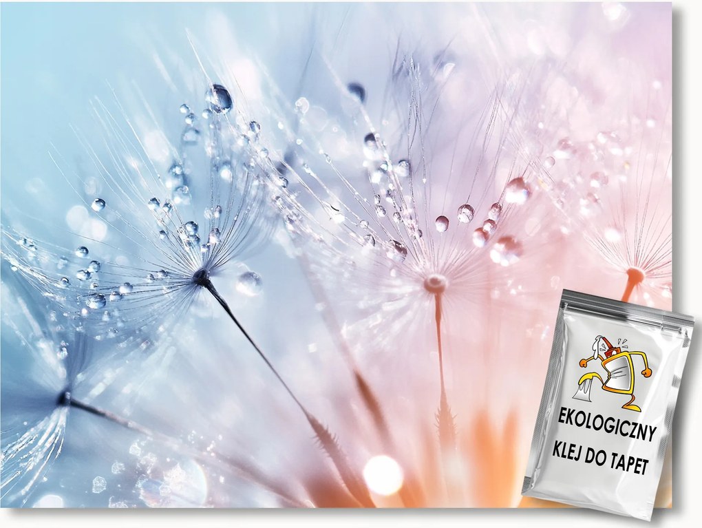 Fotótapéta Flizelina Természet Virág Pitypang Makró 312x219 ragasztó