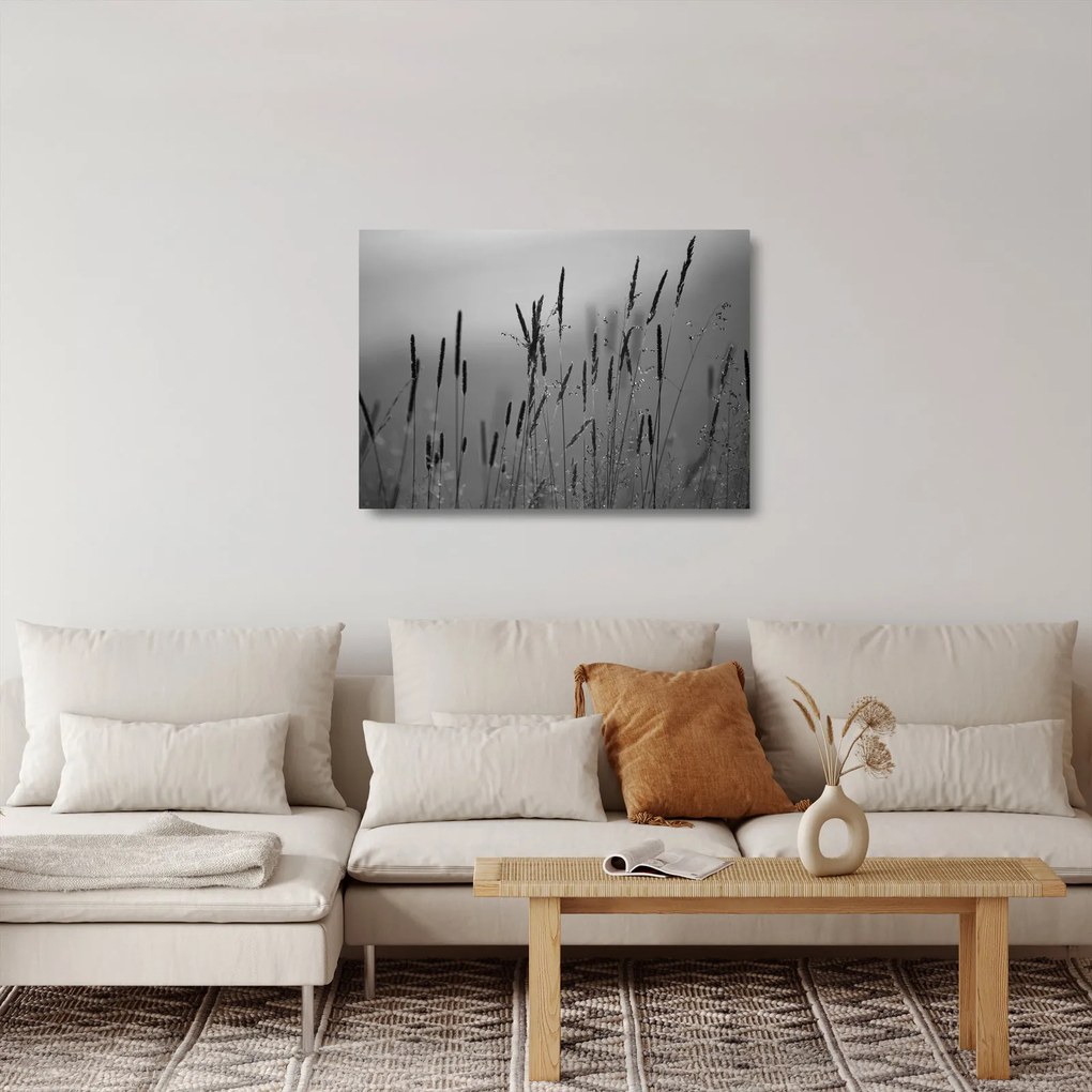 Üveg kép - Fűszálak (70x50 cm)