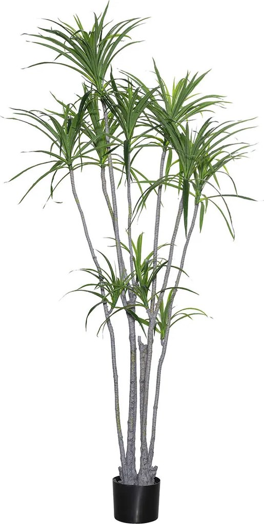 Pottery Pots Realisztikus műnövény Dracaena marginata, XL méret - ø 50 cm | m. 230 cm - PotteryPots