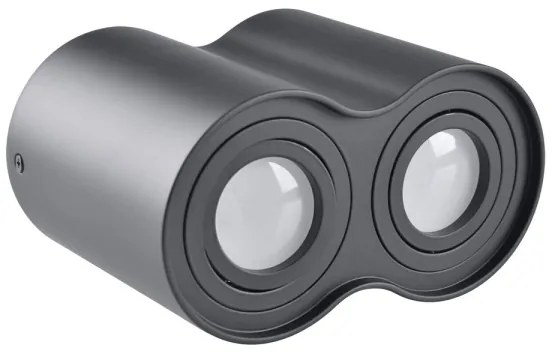 Spotlámpa HADAR 2xGU10/10W/230V fekete