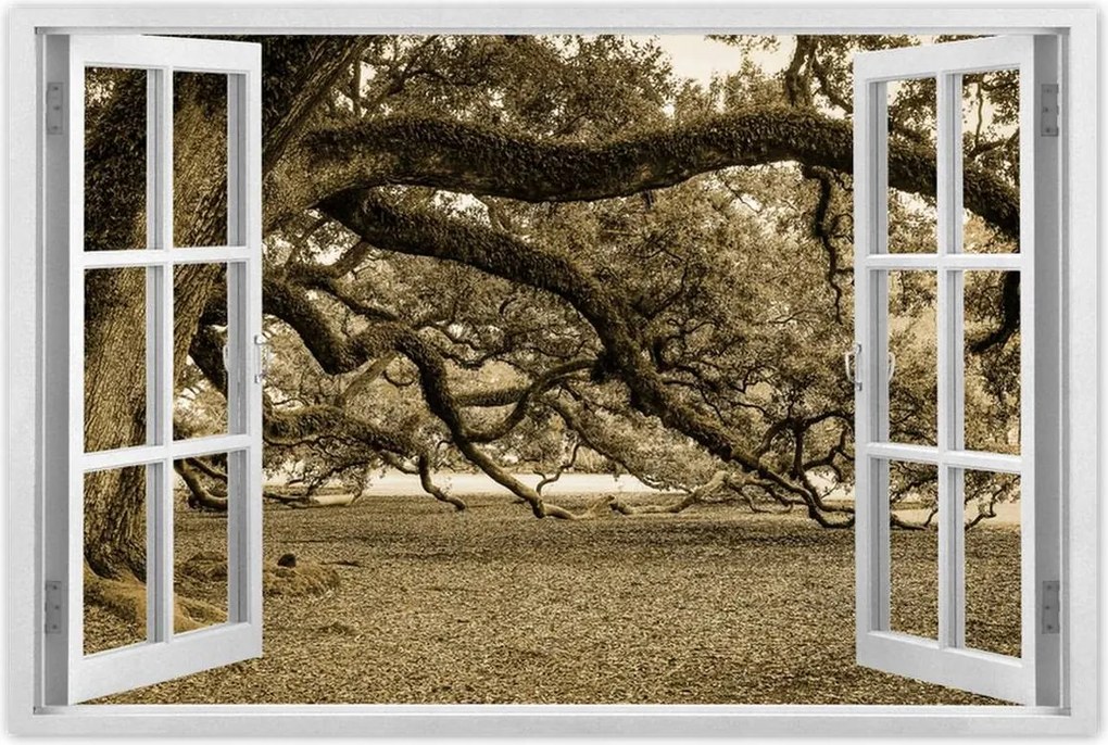 Poszterek 60x40 Erőteljes tölgy