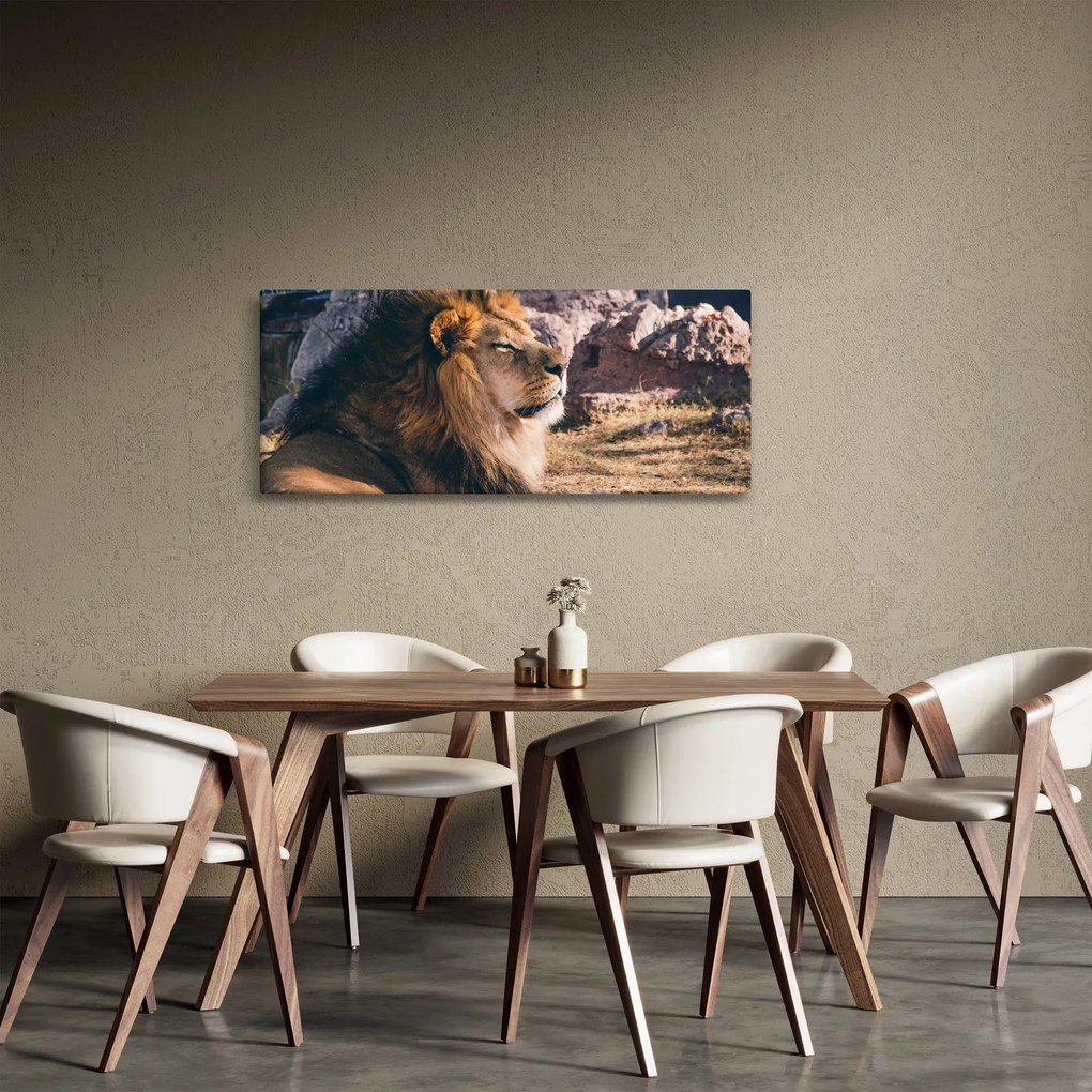 Egy fekvő oroszlán képe (120x50 cm)