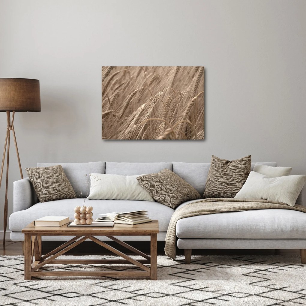 Kép - Az arany mező (70x50 cm)