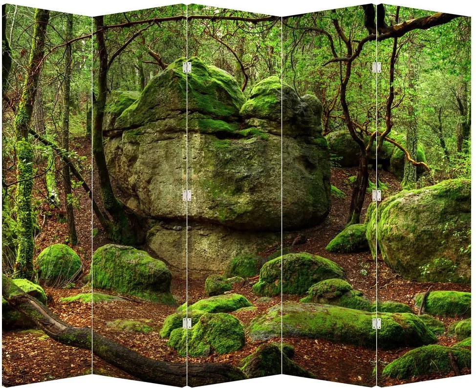Paraván - Varázslatos erdő (210x170 cm)