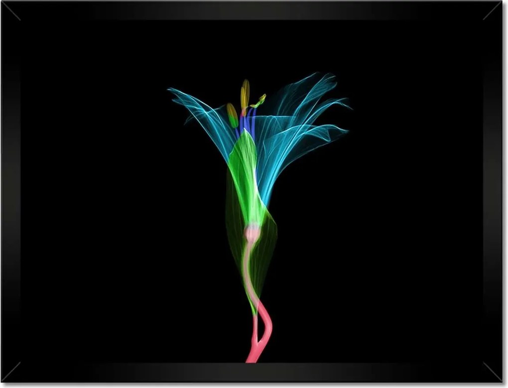 Poszterek keretben 40x30 Virágok