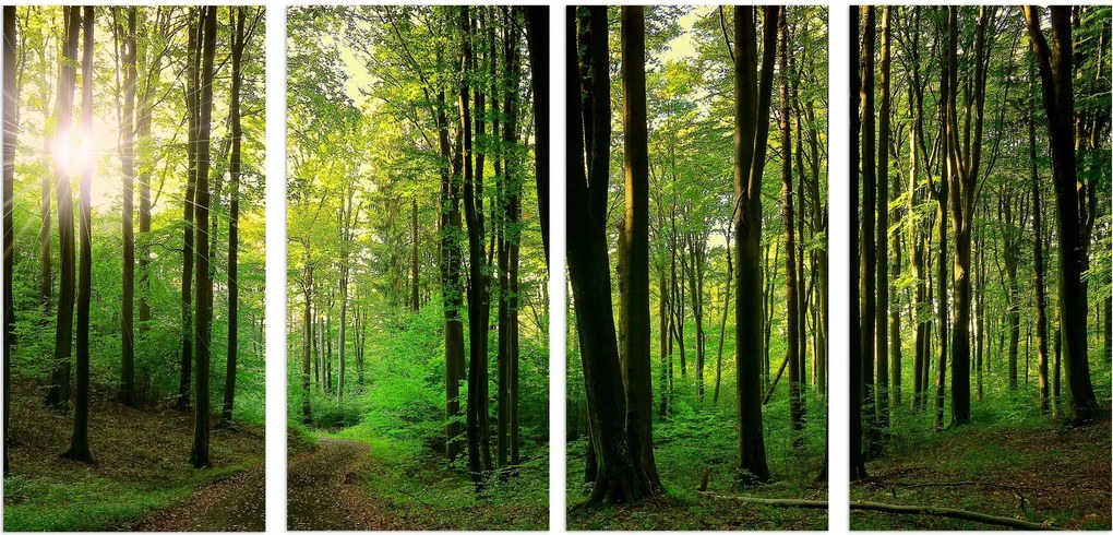 Faliképek Zöld erdő Nagy kép hálószoba nappali dekoráció 60x120