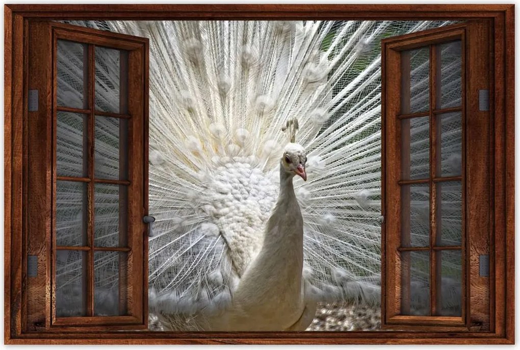 Poszterek 90x60 Madarak