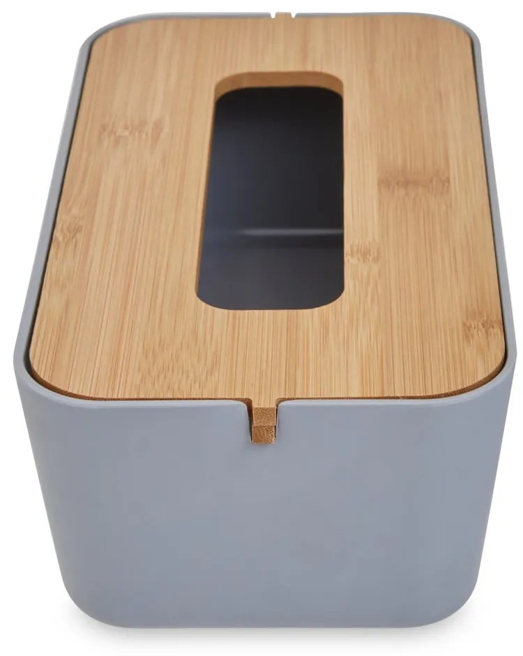 Műanyag zsebkendőtartó Canyon – Premier Housewares