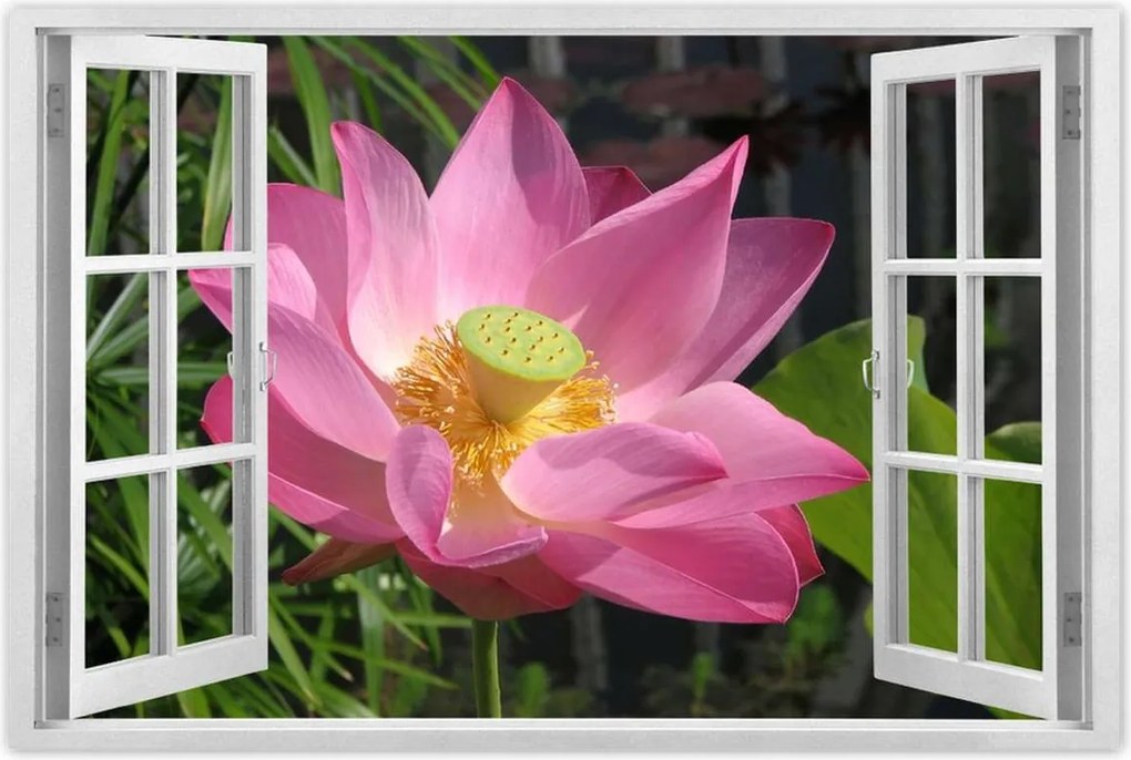 Poszterek 90x60 Lótusz Lótuszvirág