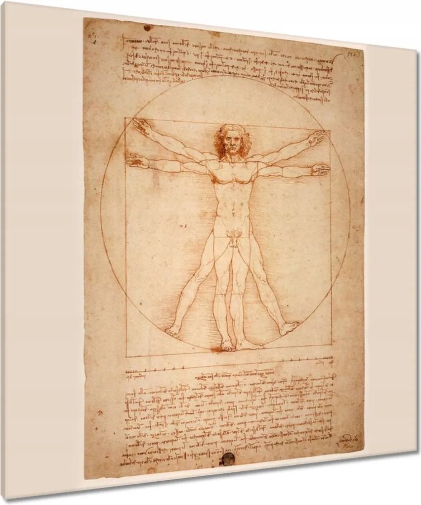 Vászonkép 90x90 Da Vinci, a vitruviusi ember