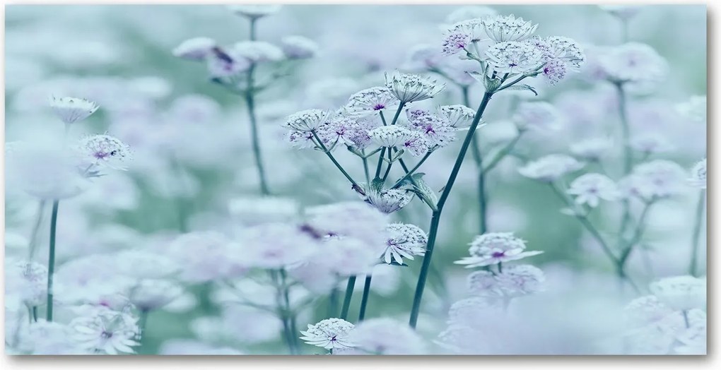 Fotó üvegkép Jázmin nagyobb 140x70