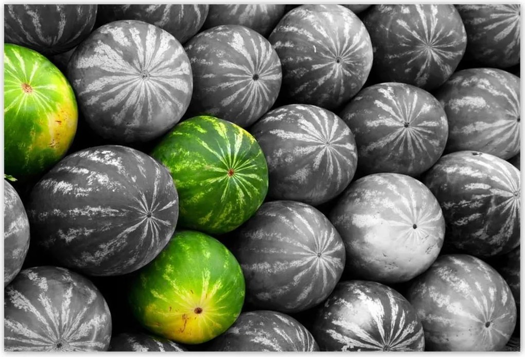 Poszterek 200x135 Három színes görögdinnye