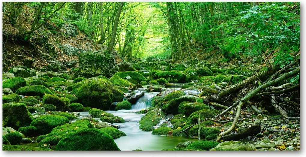 Fotó üvegkép Patak az erdőben 140x70