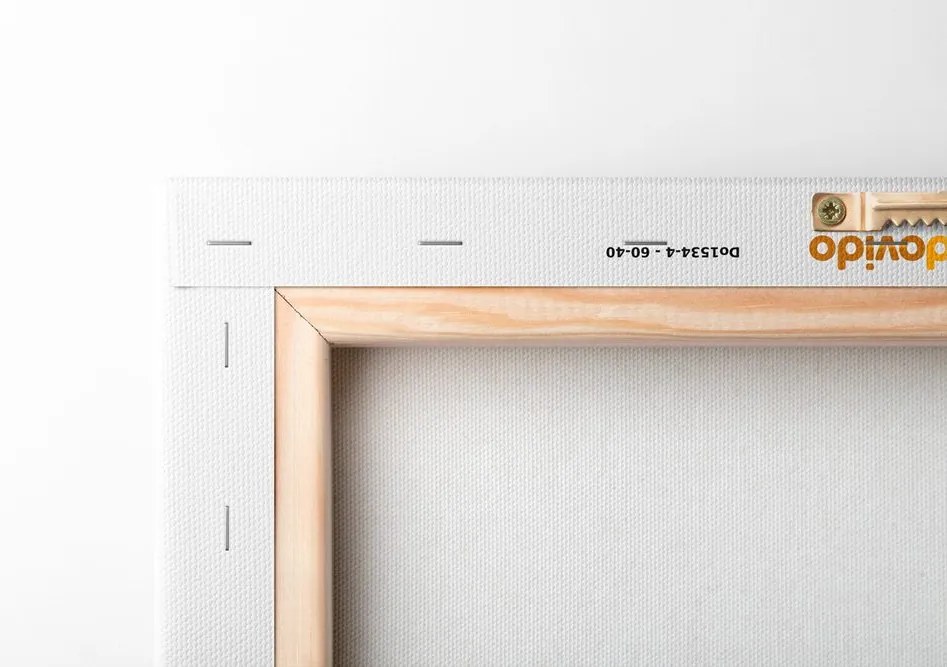 Kép minimalista virág fehér háttéren No4