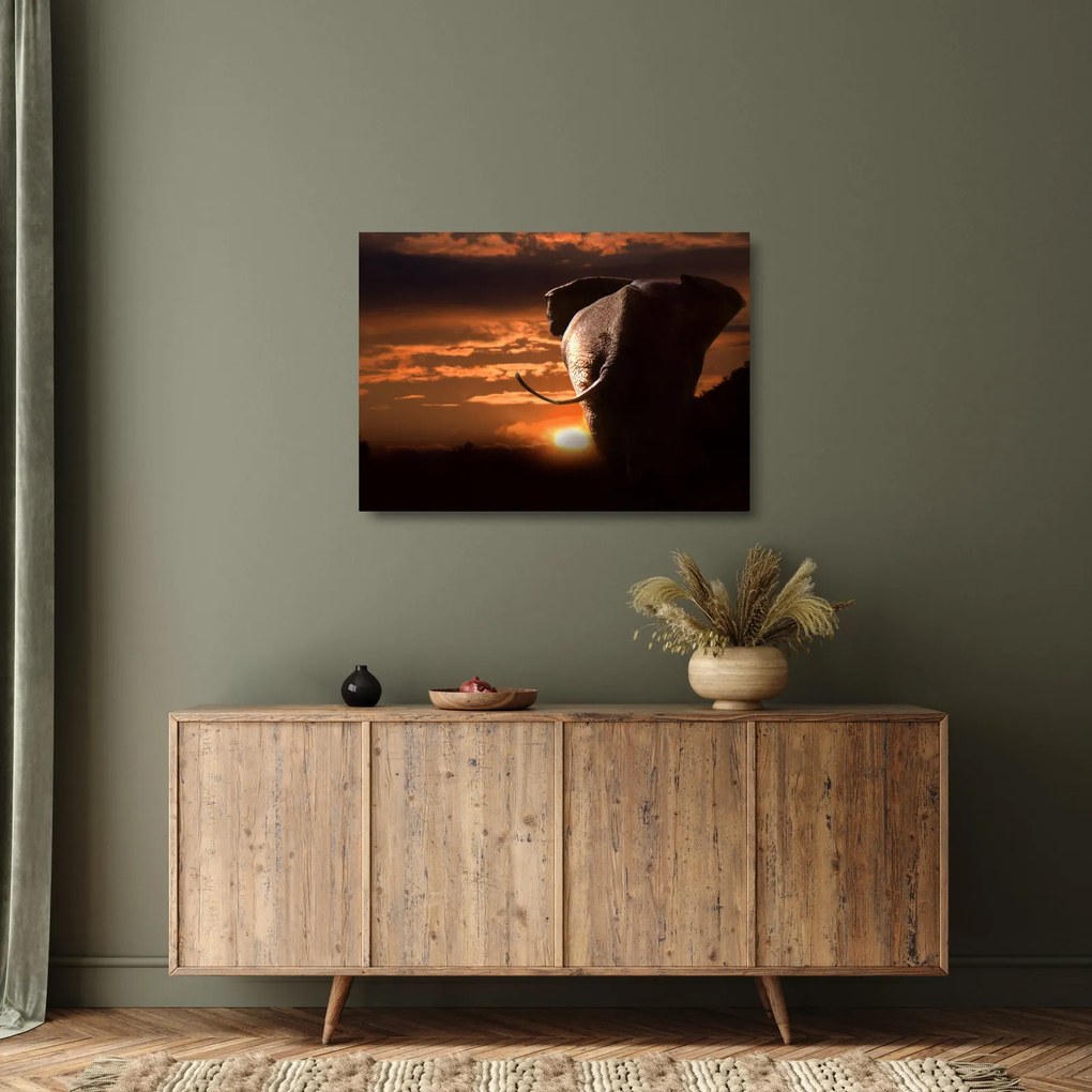 Elefánt képe (üvegen) (70x50 cm)