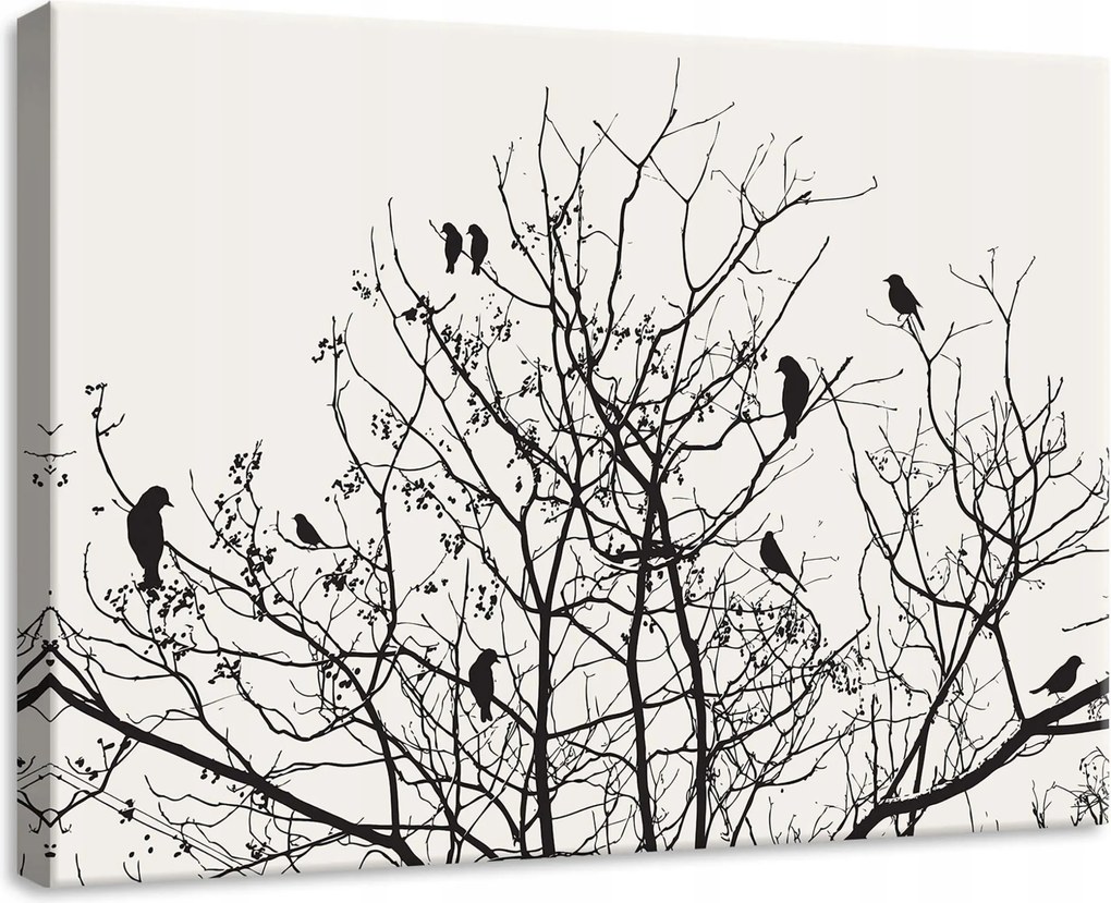 Vászonkép 70x50 Fekete-fehér sziluettek fák madarak tél minimalizmus grafika