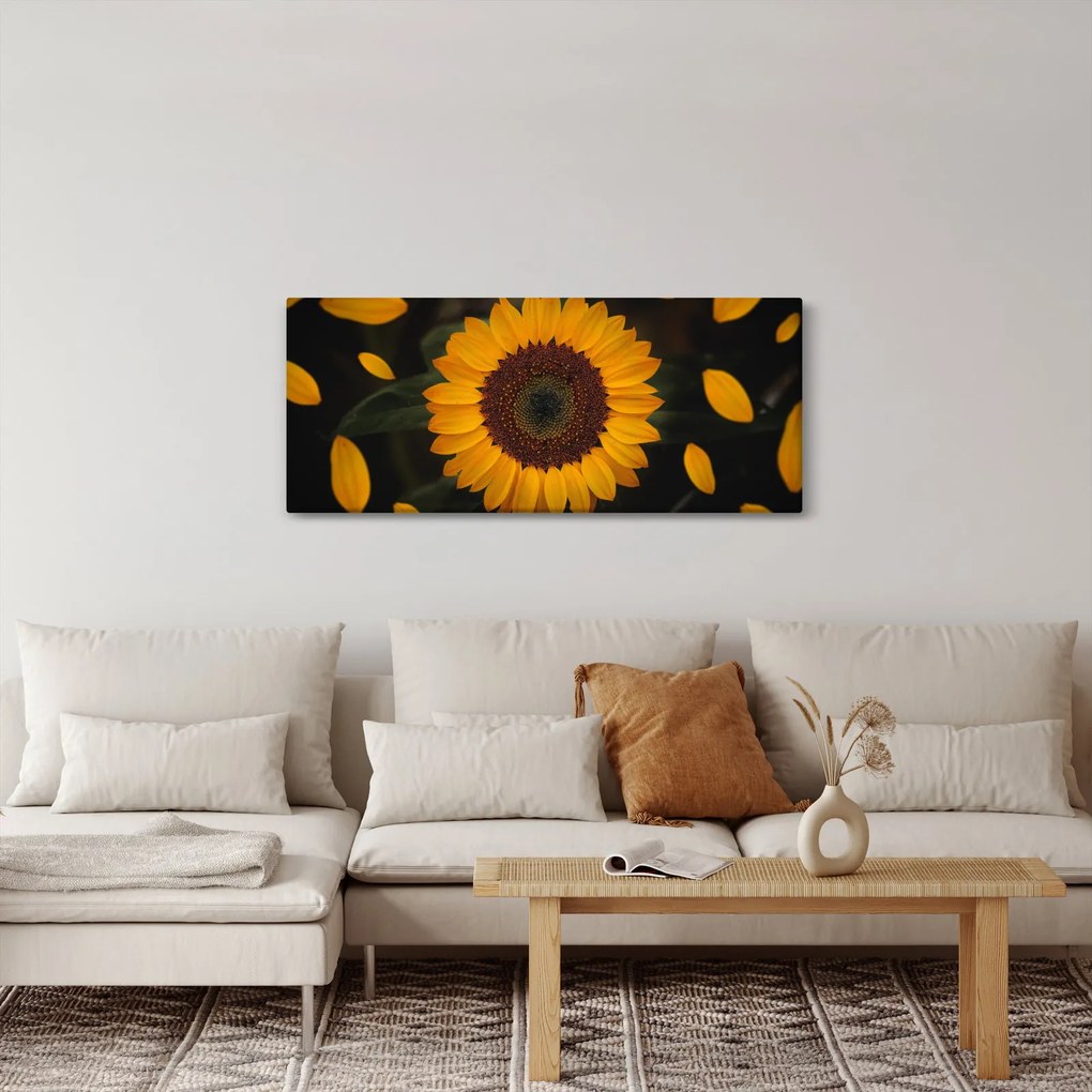 Kép - Napraforgók és a virágszirmok (120x50 cm)