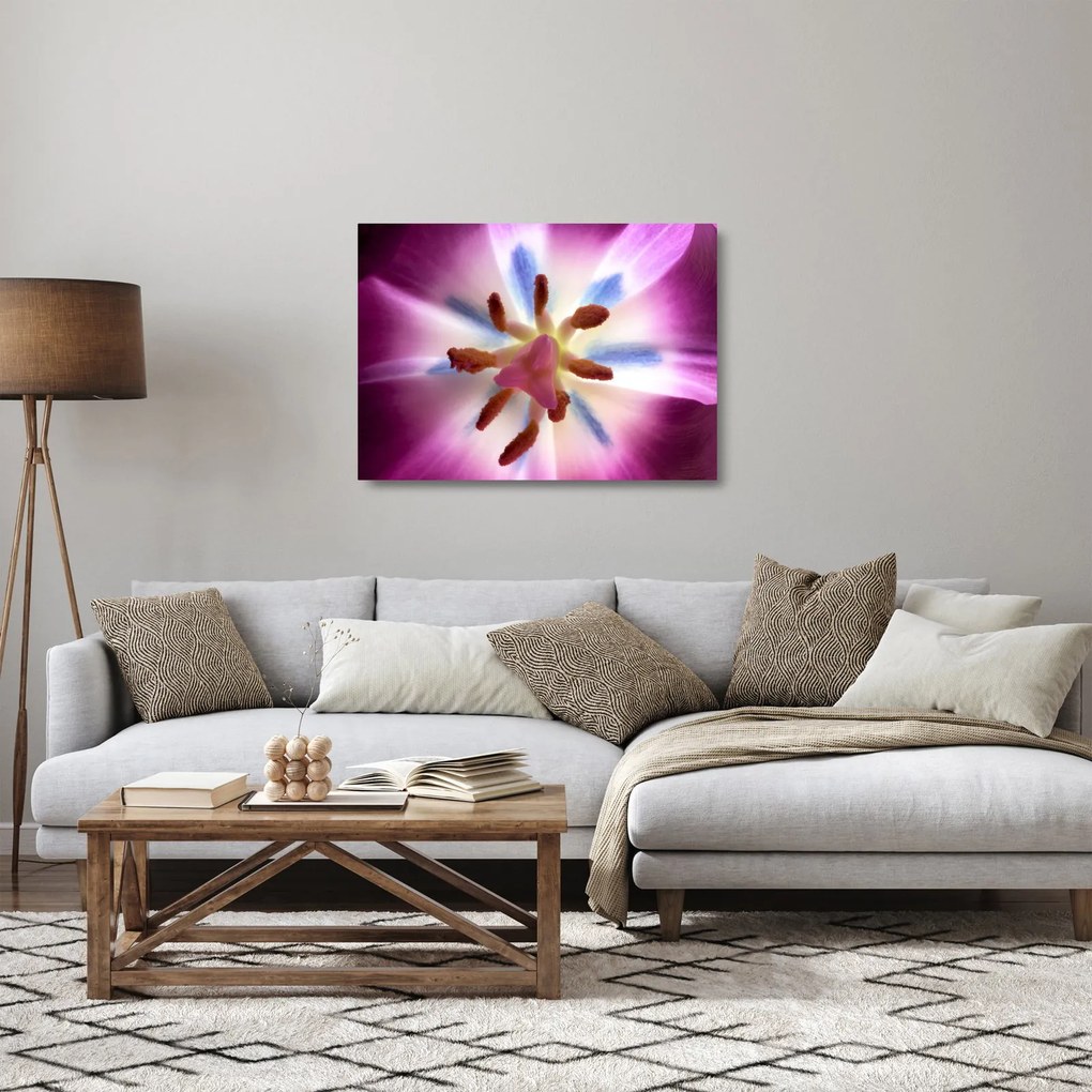 Kép - Tulipán virág részletesen (üvegen) (70x50 cm)