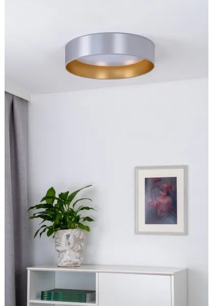 Duolla - LED Mennyezeti lámpa ROLLER LED/24W/230V átm. 45 cm ezüst/arany