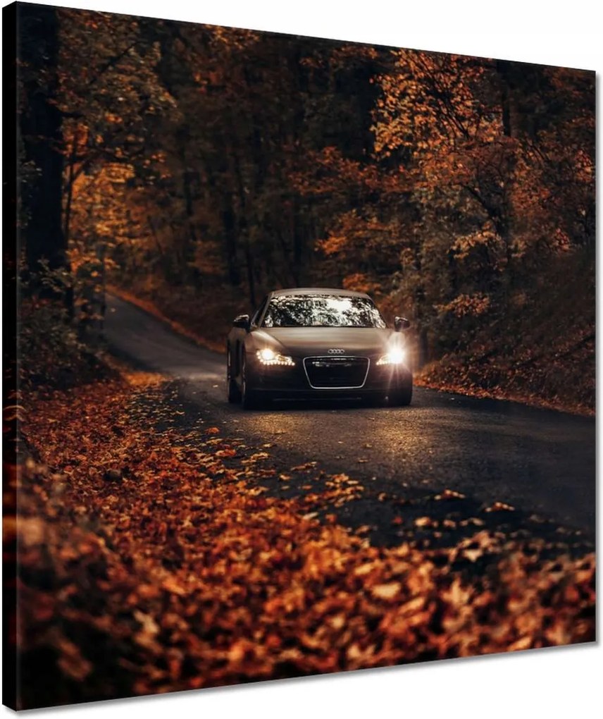 Vászonkép 40x40 Audi Őszi tájkép