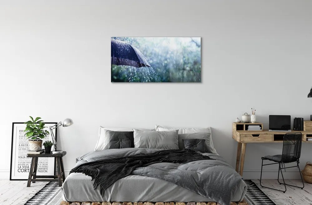 Akrilkép Esernyő eső esik 100x50 cm