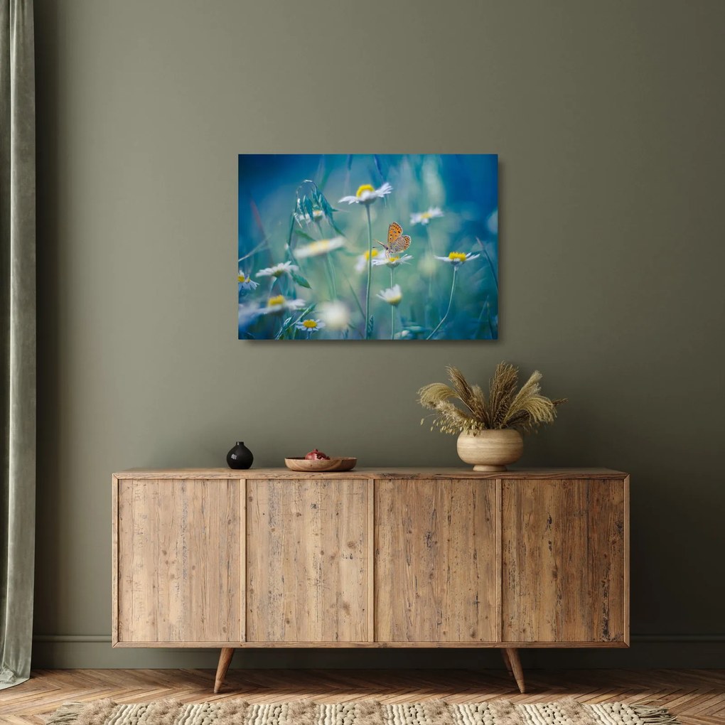 Kép - pillangó a százszorszépen (üvegen) (70x50 cm)