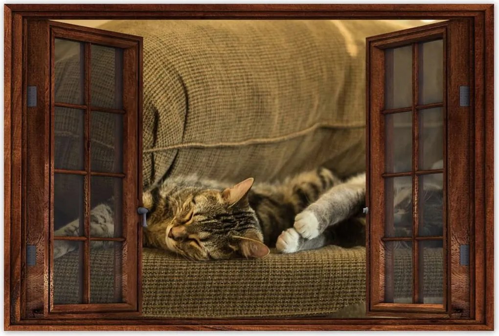 Poszterek 120x80 Cica Cicák