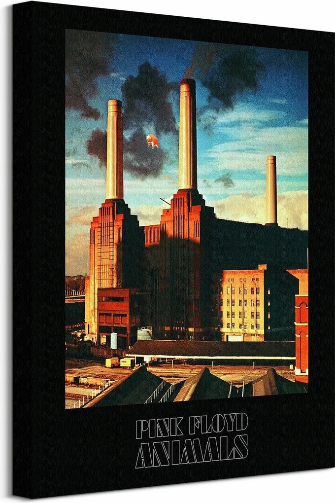 Pink Floyd Animals vászonkép 40x50 cm