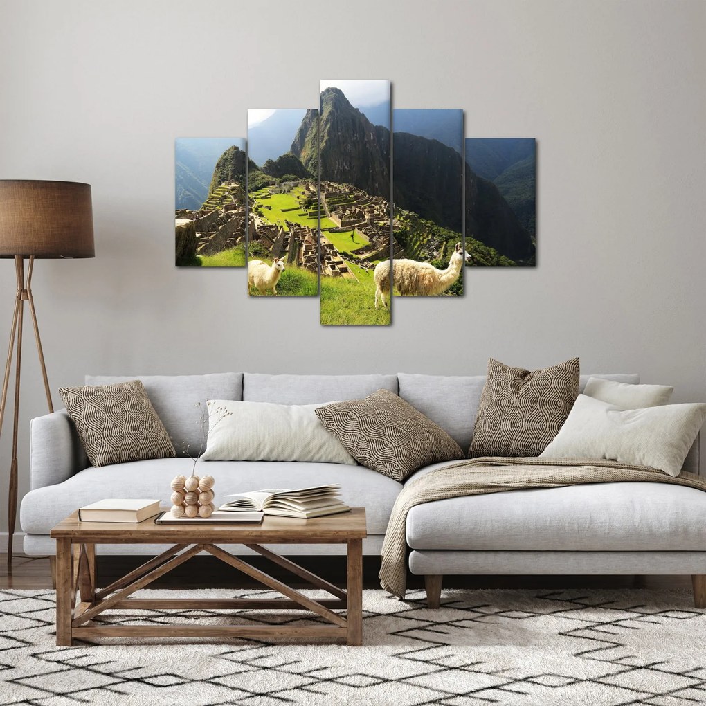 Kép - Lámák Machu Picchuban (150x105 cm)