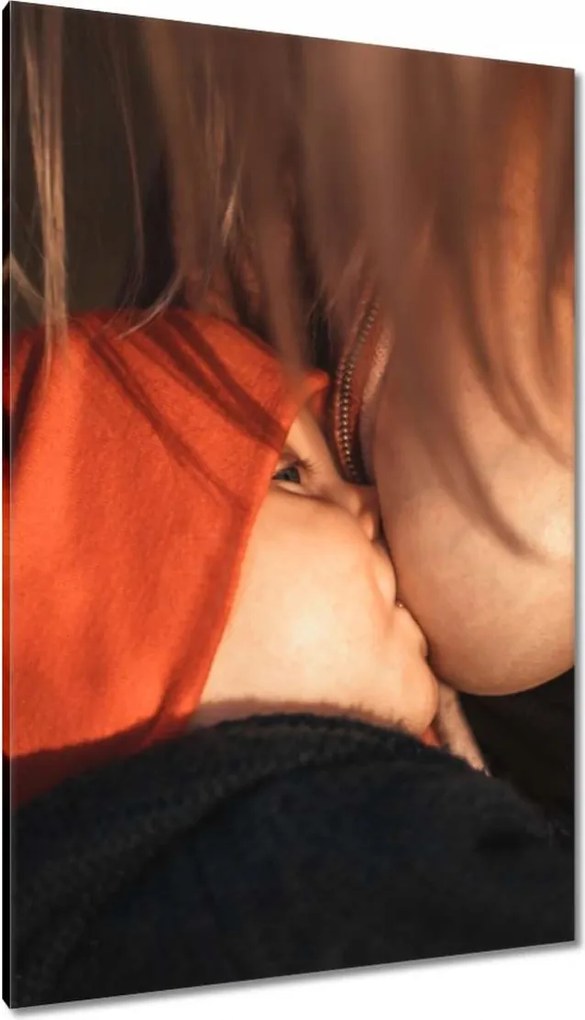 Vászonkép 80x120 Anyaság Anya