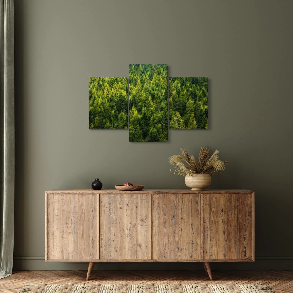 Kép - sűrű erdő (90x60 cm)