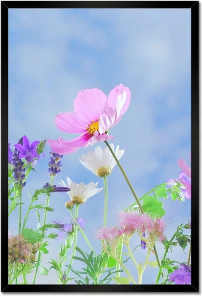 Poszterek keretben 40x60 Finom virágok