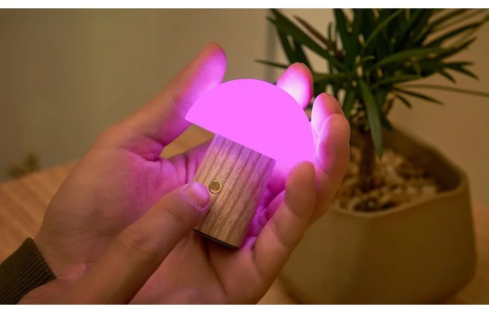 Natúr színű kőrisfa LED dimmelhető asztali lámpa (magasság 7 cm) Alice – Gingko