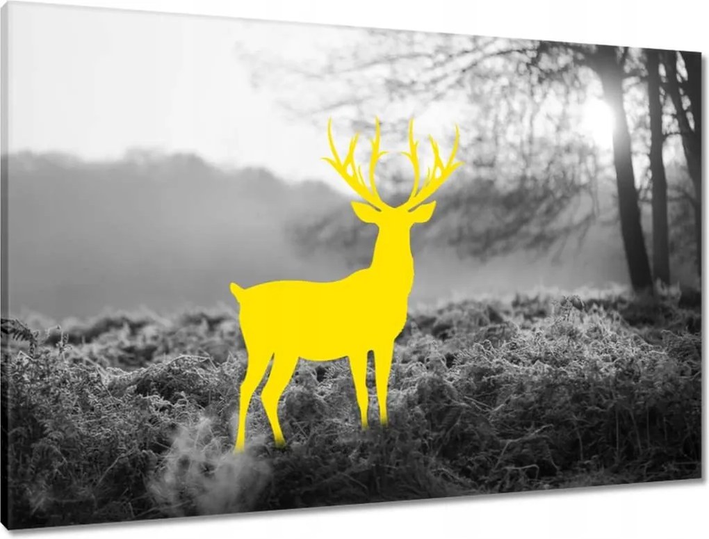 Vászonkép 90x60 Sárga szarvas Erdő Tájkép