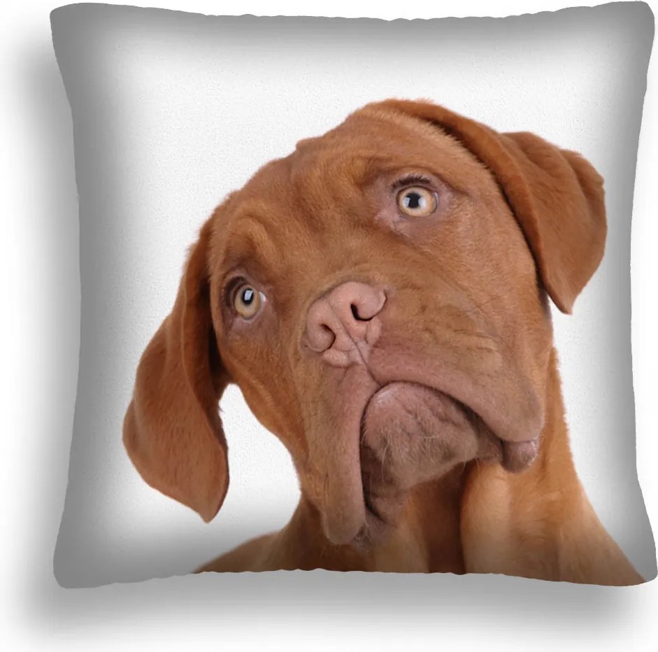Kutya Párna 18 Szomorú Kutya Párnahuzat 50x50 Betét