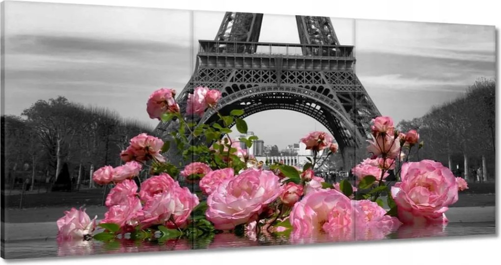 Festmények 120x60 Virágok az Eiffel-toronynál