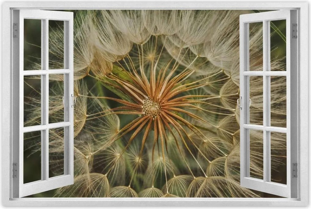 Poszterek 120x80 Pitypang Virág Virágok