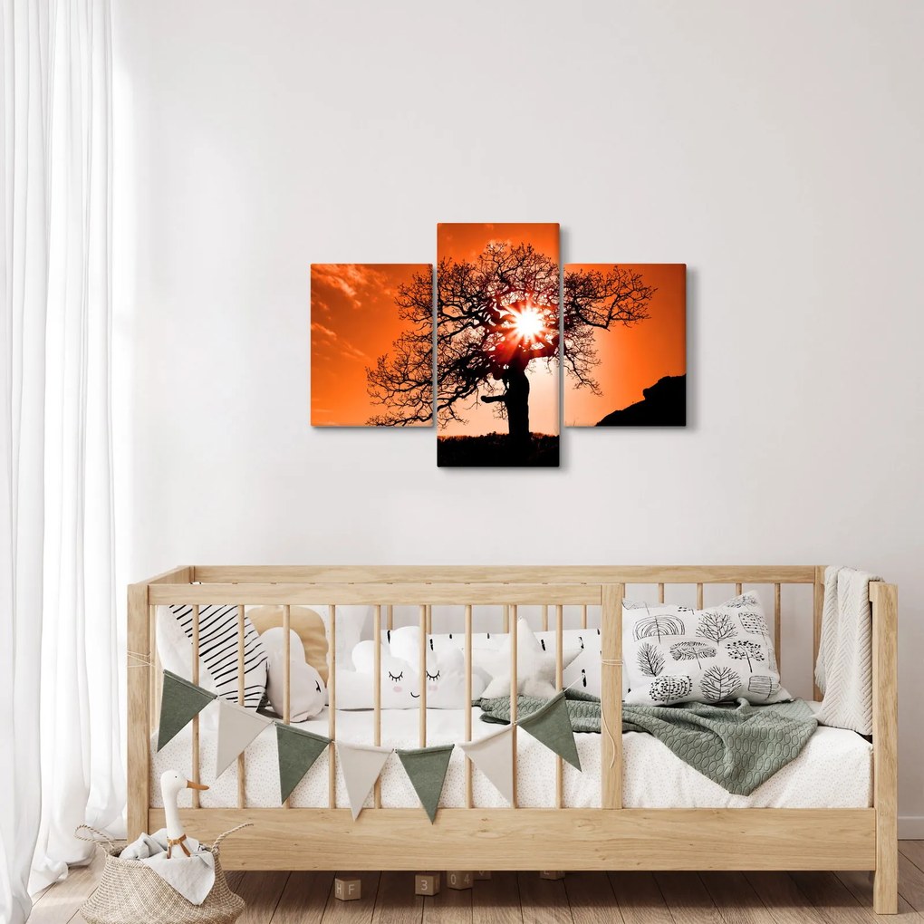 Kép - Tölgy napnyugtakor (90x60 cm)