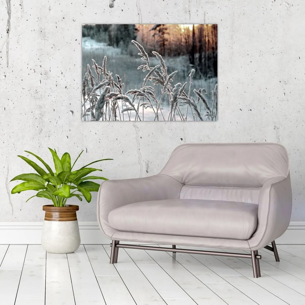 Üveg kép - Fagyott rét (70x50 cm)