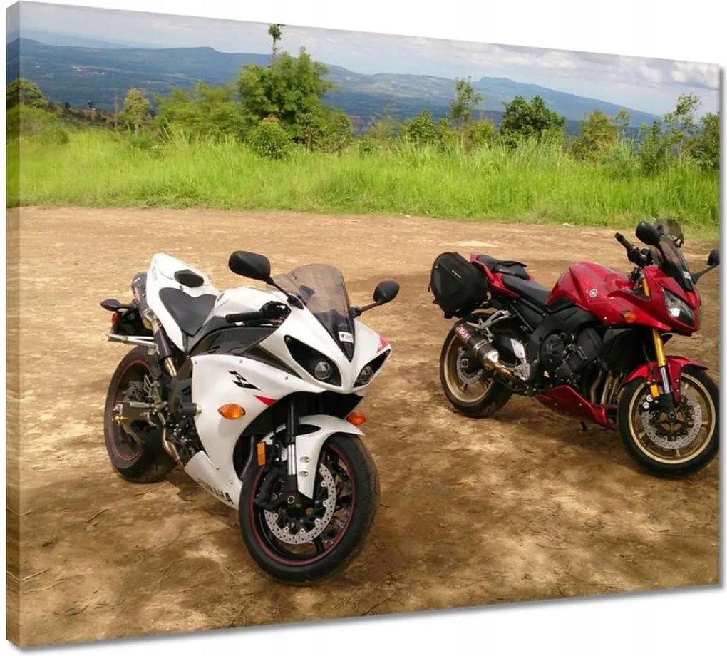 Vászonkép 50x40 Yamaha R1 terepen