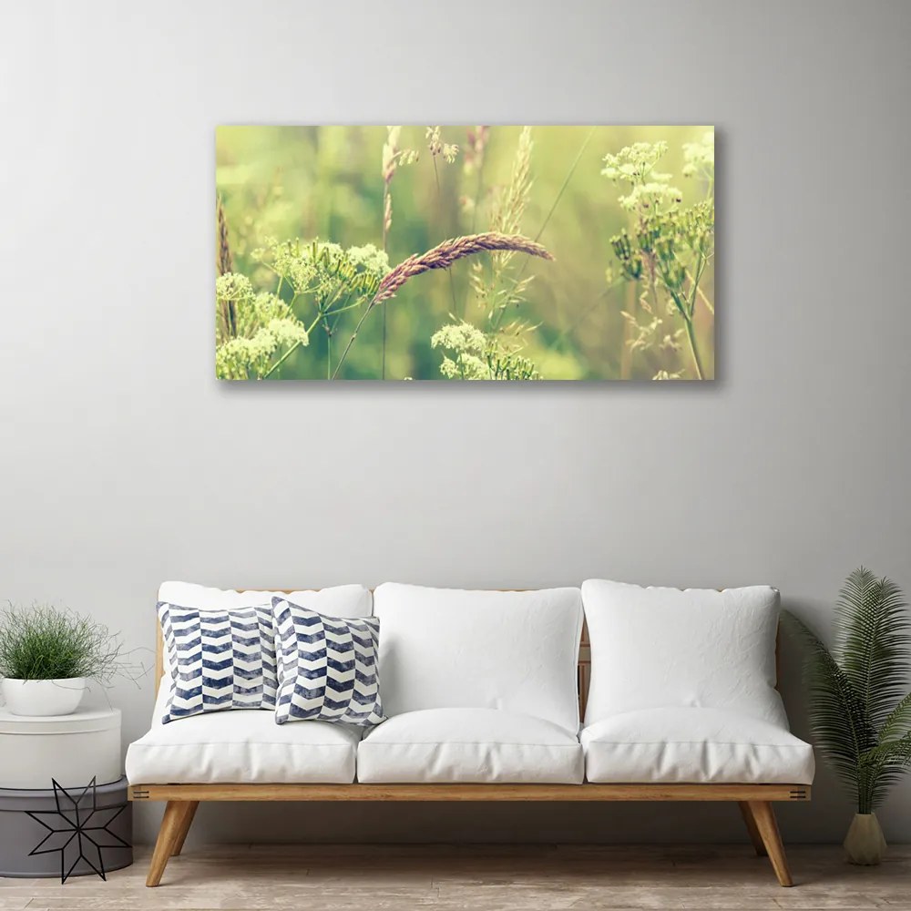 Vászonkép falra Wild Plants Természet 140x70 cm