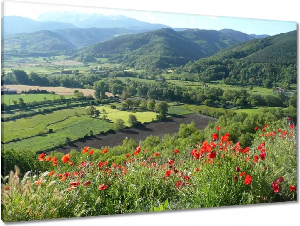 Festmények 120x80 Virágos kilátás a hegyekben