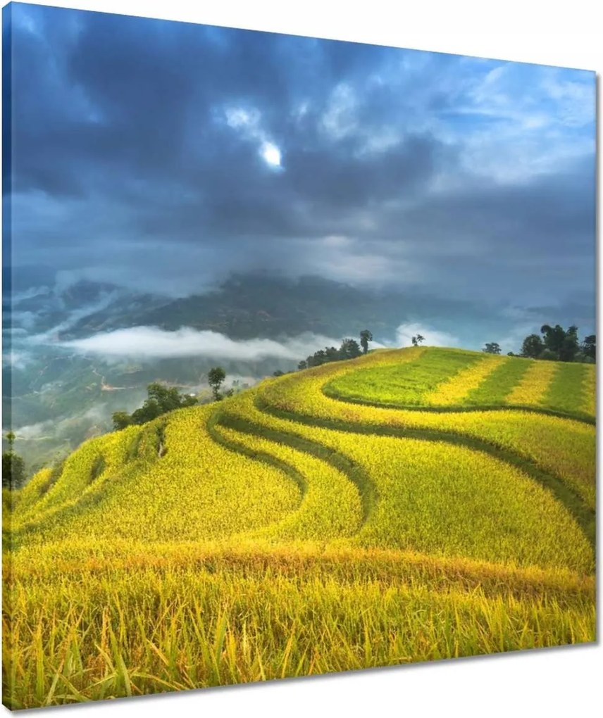 Vászonkép 60x60 Kilátás Tájkép