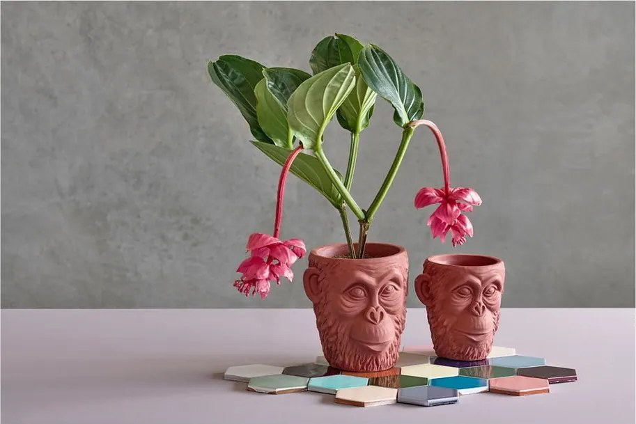 Calbe piros virágcserép ø 19 cm - Villa Collection