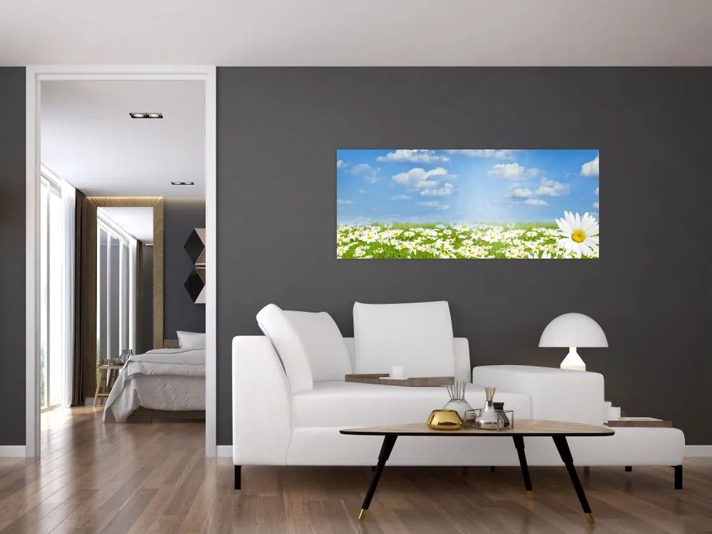 A virágzó rét százszorszépekkel képe (120x50 cm)