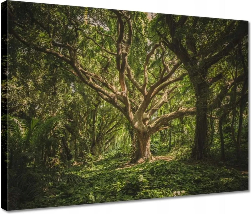 Vászonkép 40x30 Fa a parkban