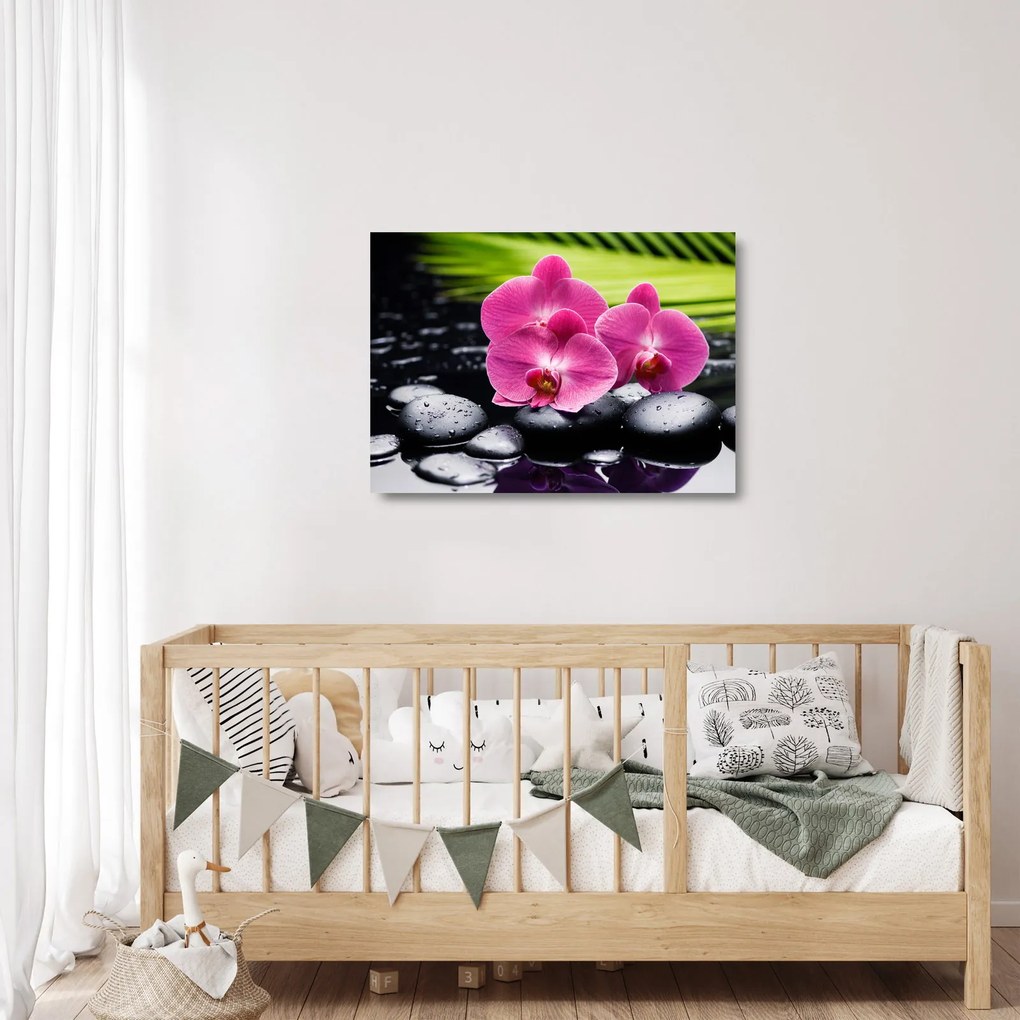 Üveg kép - Rózsaszín orchidea pálmalevéllel (70x50 cm)