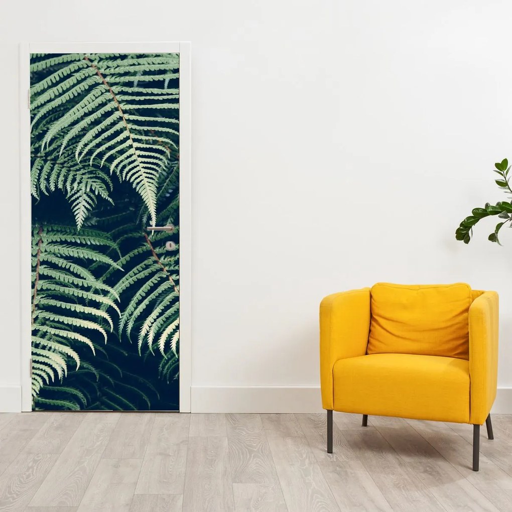 Fotótapéta ajtóra - Páfránylevél (95x205cm)