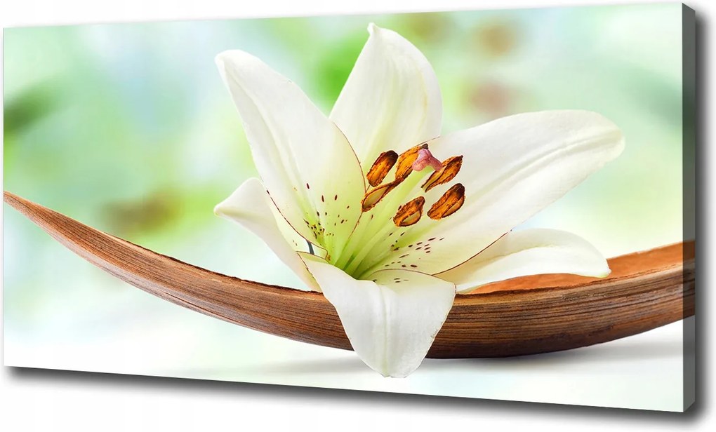 Fotótapéta nappaliba Liliom 120x60 cm