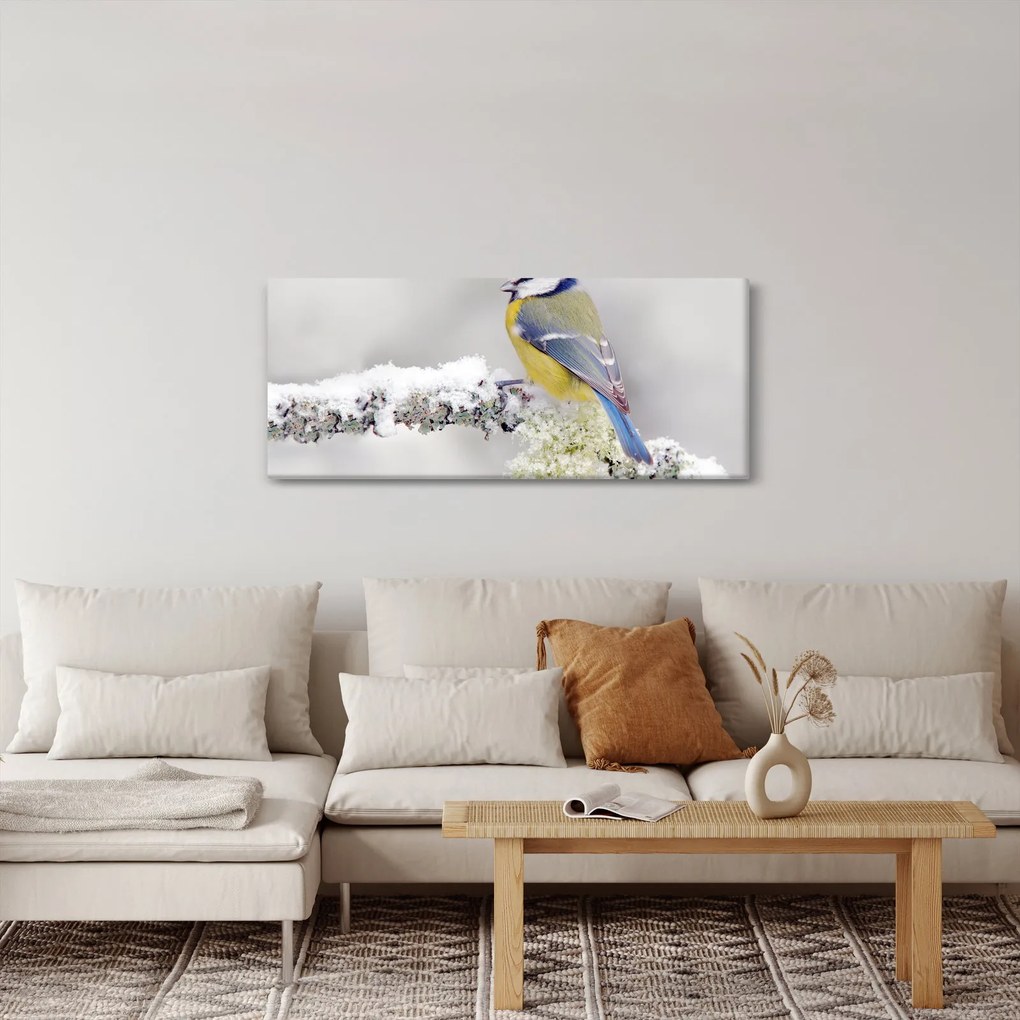 Kép - Cinege (120x50 cm)